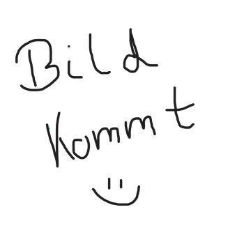 Pastiglie Leone Frutti di Bosco - Waldfrucht 27g